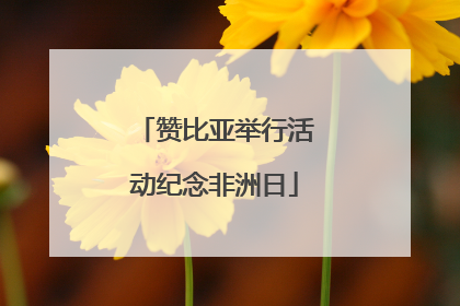赞比亚举行活动纪念非洲日