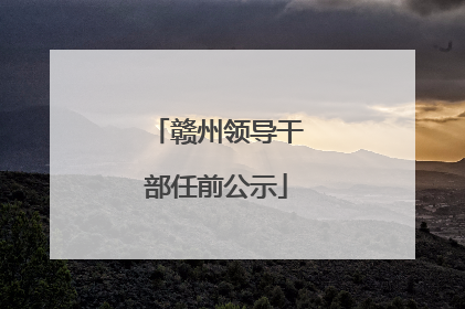 赣州领导干部任前公示