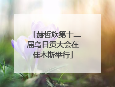 赫哲族第十二届乌日贡大会在佳木斯举行
