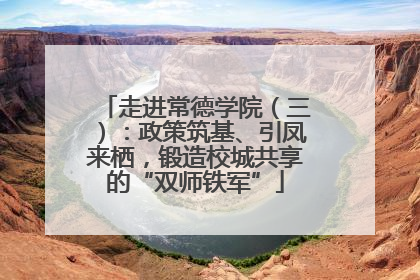 走进常德学院（三）：政策筑基、引凤来栖，锻造校城共享的“双师铁军”
