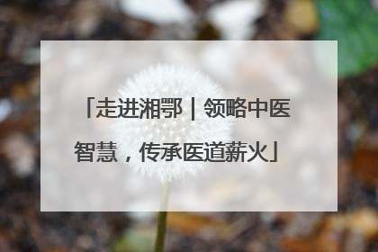 走进湘鄂｜领略中医智慧，传承医道薪火