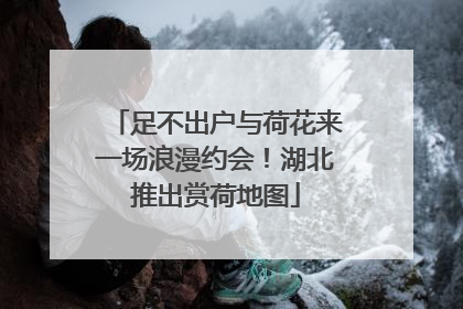 足不出户与荷花来一场浪漫约会！湖北推出赏荷地图