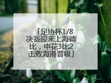 足协杯1/8决赛迎来上海德比，申花3比2击败海港晋级