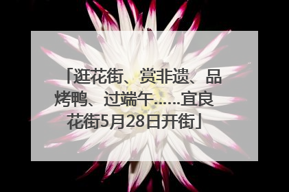 逛花街、赏非遗、品烤鸭、过端午……宜良花街5月28日开街
