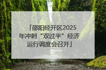 邵阳经开区2025年冲刺“双过半”经济运行调度会召开