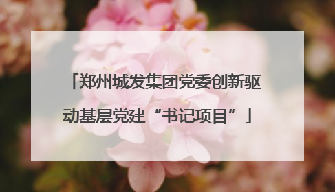 郑州城发集团党委创新驱动基层党建“书记项目”