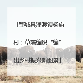 郓城县潘渡镇杨庙村：草藤编织“编”出乡村振兴新图景