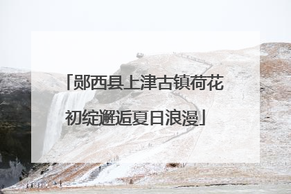 郧西县上津古镇荷花初绽邂逅夏日浪漫