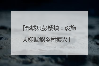 鄄城县彭楼镇：设施大棚赋能乡村振兴