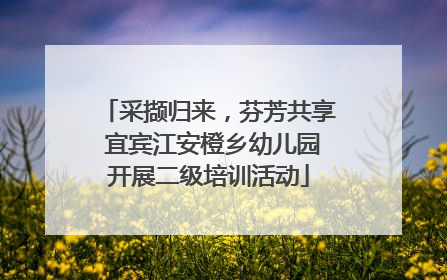 采撷归来，芬芳共享 宜宾江安橙乡幼儿园开展二级培训活动