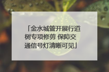 金水城管开展行道树专项修剪 保障交通信号灯清晰可见