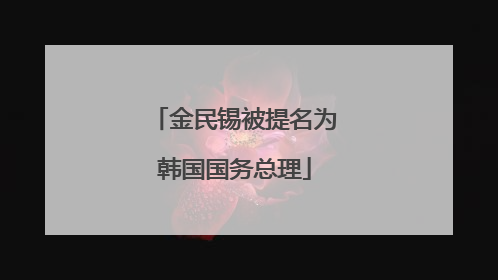 金民锡被提名为韩国国务总理