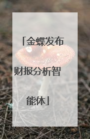 金蝶发布财报分析智能体