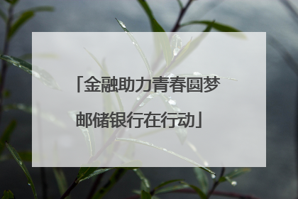 金融助力青春圆梦邮储银行在行动