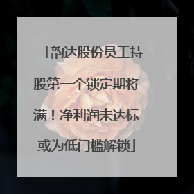 韵达股份员工持股第一个锁定期将满！净利润未达标或为低门槛解锁
