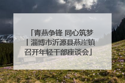 青燕争锋 同心筑梦丨淄博市沂源县燕崖镇召开年轻干部座谈会