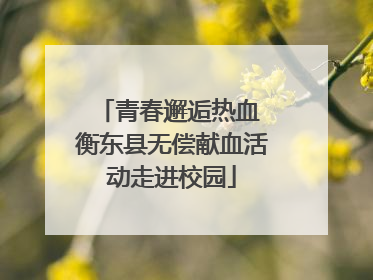 青春邂逅热血 衡东县无偿献血活动走进校园
