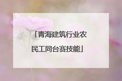 青海建筑行业农民工同台赛技能