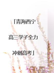 青海西宁：高三学子全力冲刺高考