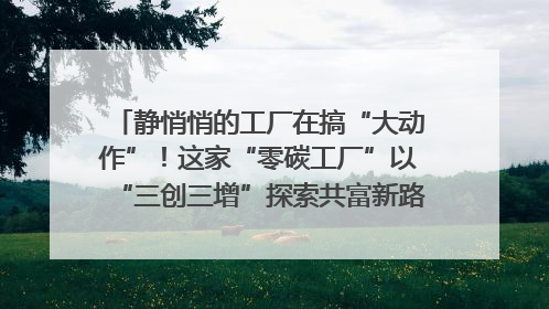 静悄悄的工厂在搞“大动作”！这家“零碳工厂”以“三创三增”探索共富新路径｜网络名人四川行
