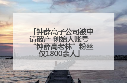 钟薛高子公司被申请破产 创始人账号“钟薛高老林”粉丝仅1800余人