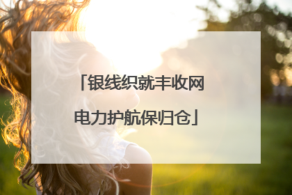 银线织就丰收网 电力护航保归仓