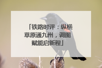 铁路时评：纵横草原通九州，调图赋能启新程