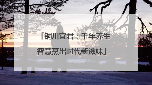 铜川宜君：千年养生智慧烹出时代新滋味