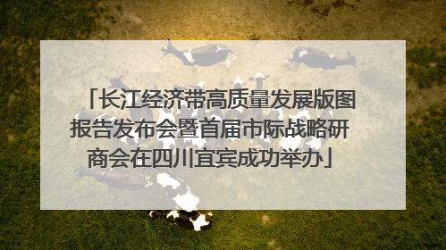 长江经济带高质量发展版图报告发布会暨首届市际战略研商会在四川宜宾成功举办