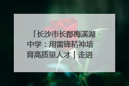 长沙市长郡梅溪湖中学：用雷锋精神培育高质量人才｜走进新时代“雷锋传人 长沙榜样”