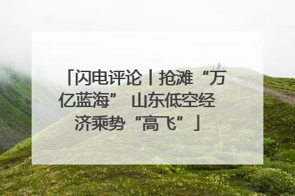 闪电评论丨抢滩“万亿蓝海” 山东低空经济乘势“高飞”