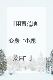 闲置荒地变身“小鹿菜园”
