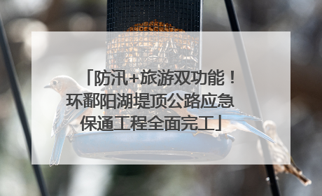 防汛+旅游双功能！环鄱阳湖堤顶公路应急保通工程全面完工