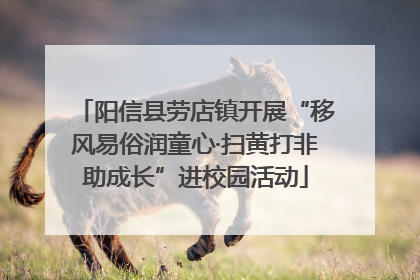 阳信县劳店镇开展“移风易俗润童心·扫黄打非助成长”进校园活动