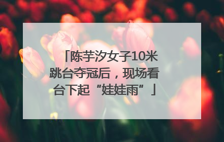 陈芋汐女子10米跳台夺冠后，现场看台下起“娃娃雨”