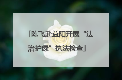陈飞赴益阳开展“法治护绿”执法检查
