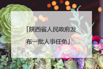 陕西省人民政府发布一批人事任免