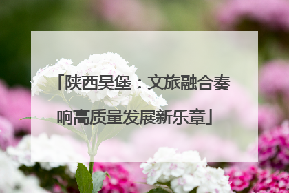 陕西吴堡：文旅融合奏响高质量发展新乐章