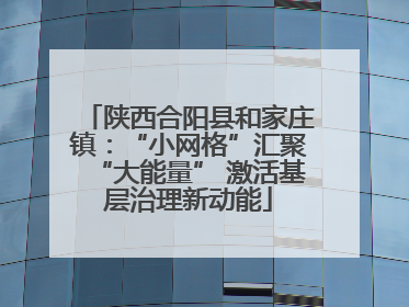陕西合阳县和家庄镇：“小网格”汇聚“大能量” 激活基层治理新动能