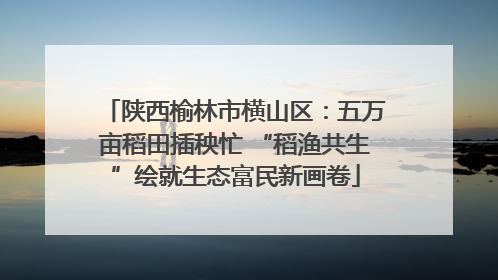 陕西榆林市横山区：五万亩稻田插秧忙 “稻渔共生”绘就生态富民新画卷