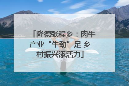 隆德张程乡：肉牛产业“牛劲”足 乡村振兴添活力
