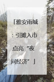 雅安雨城：引摊入市 点亮“夜间经济”