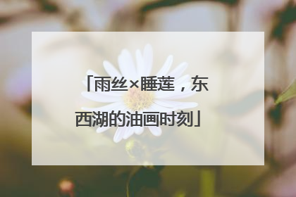 雨丝×睡莲，东西湖的油画时刻