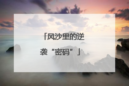 风沙里的逆袭“密码”