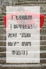 飞羽镜界｜新华社记者对“高原仙子”的四季追寻
