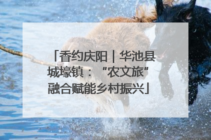 香约庆阳｜华池县城壕镇：“农文旅”融合赋能乡村振兴