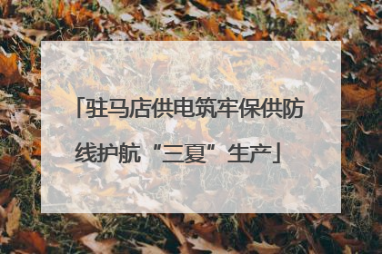 驻马店供电筑牢保供防线护航“三夏”生产