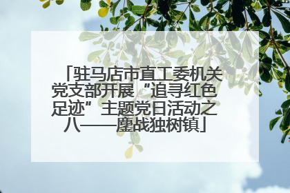 驻马店市直工委机关党支部开展“追寻红色足迹”主题党日活动之八——鏖战独树镇