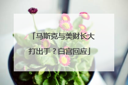 马斯克与美财长大打出手？白宫回应