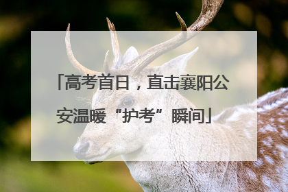 高考首日，直击襄阳公安温暖“护考”瞬间